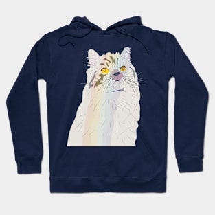 Rainbow Cat Hoodie